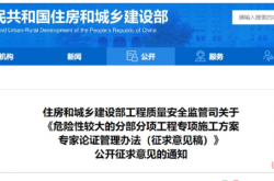 危险性较大的分部分项工程专项施工方案专家论证管理办法（征求意见稿）