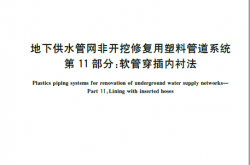 GBT 43982.11-2025 地下供水管网非开挖修复用塑料管道系统 第11部分：软管穿插内衬法