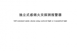 GB 20517-2025 独立式感烟火灾探测报警器