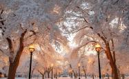 Winter Day Walks