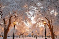 Winter Day Walks