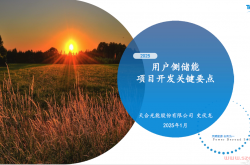 2025最新储能项目开发全攻略手册（119页完整版）