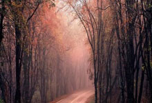 GB51202-2016 冰雪景观建筑技术标准