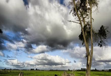 深圳市住房和建设局关于印发《深圳市绿色建筑标识管理办法》的通知2024.2.21