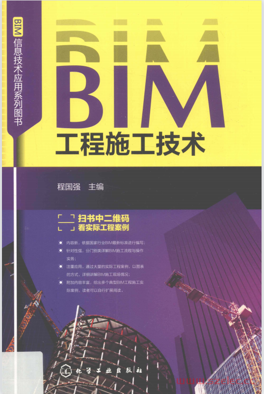 BIM工程施工技术 (程国强主编)