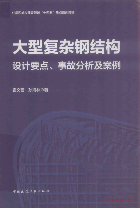 大型复杂钢结构设计要点、事故分析及案例 (霍文营 孙海林) 第1张